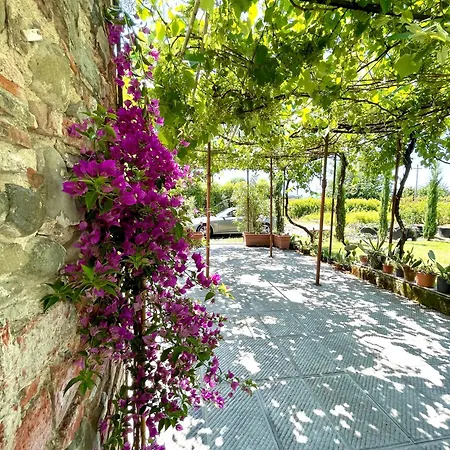 The Tuscany Rose 펜션 *