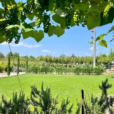 Feriehus The Tuscany Rose Pistoia