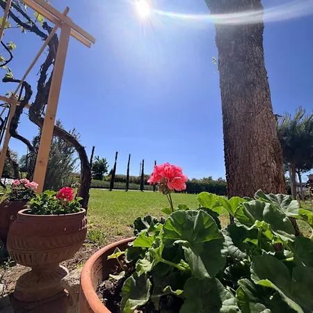 The Tuscany Rose Pistoia