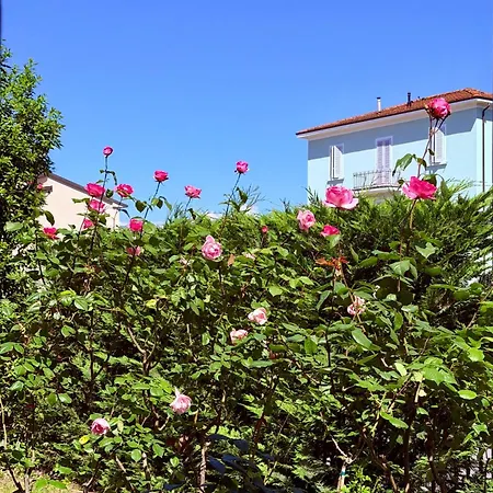 Feriehus The Tuscany Rose
