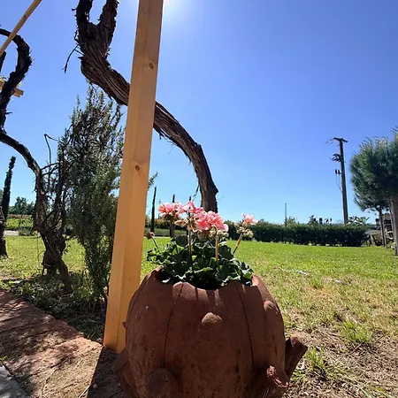 Feriehus The Tuscany Rose *