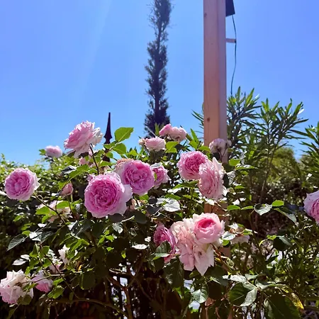 Feriehus The Tuscany Rose Pistoia
